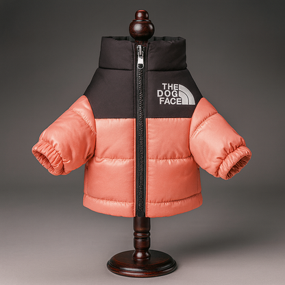 Orange Arctic Pup Winter Coat