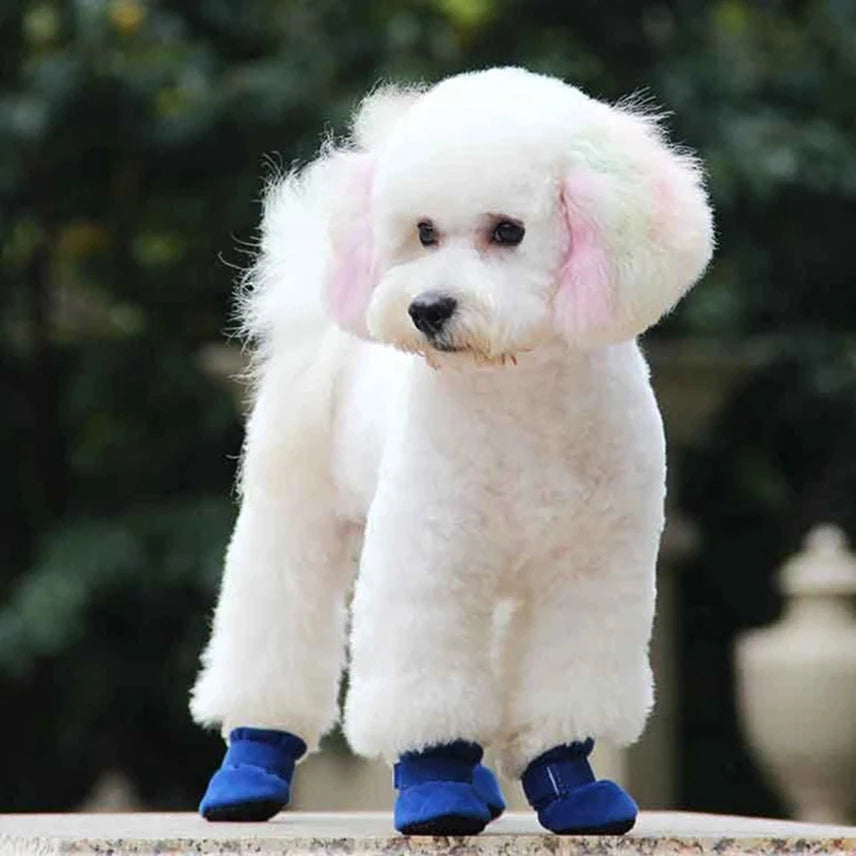 Xela Pup Snow Boots