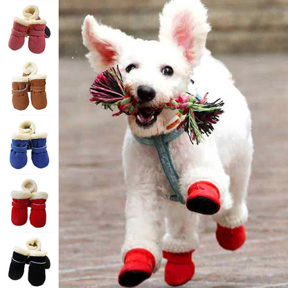 Xela Pup Snow Boots