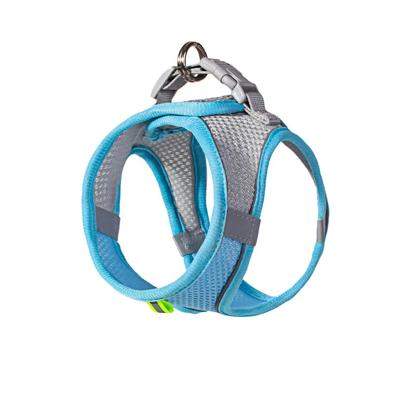 Xela Harness