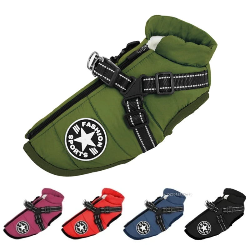 Xela Pup Winter Coat