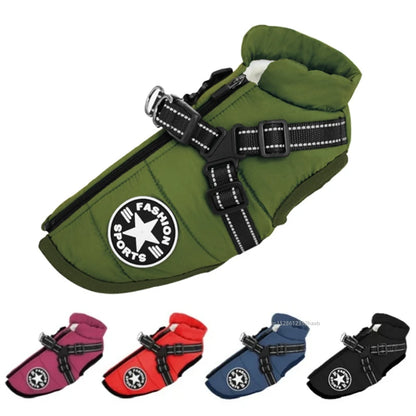 Xela Pup Winter Coat