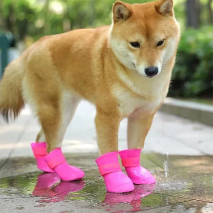 Xela Pup Rain Boots