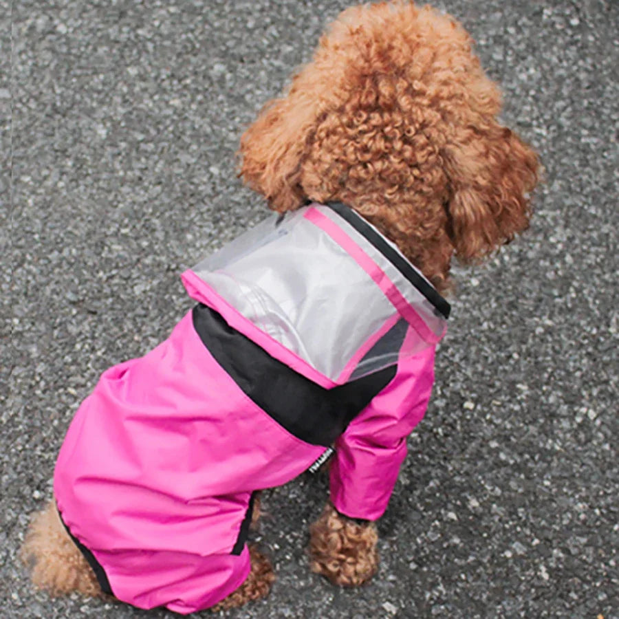 Xela Pup Rain Coat