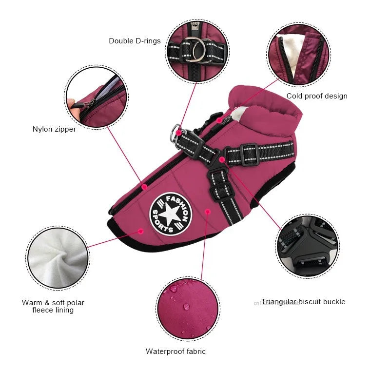 Xela Pup Winter Coat