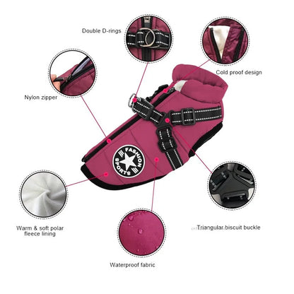 Xela Pup Winter Coat