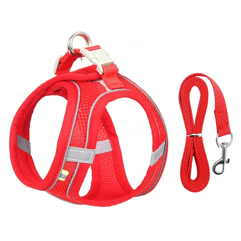 Xela Harness