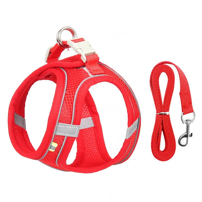 Xela Harness