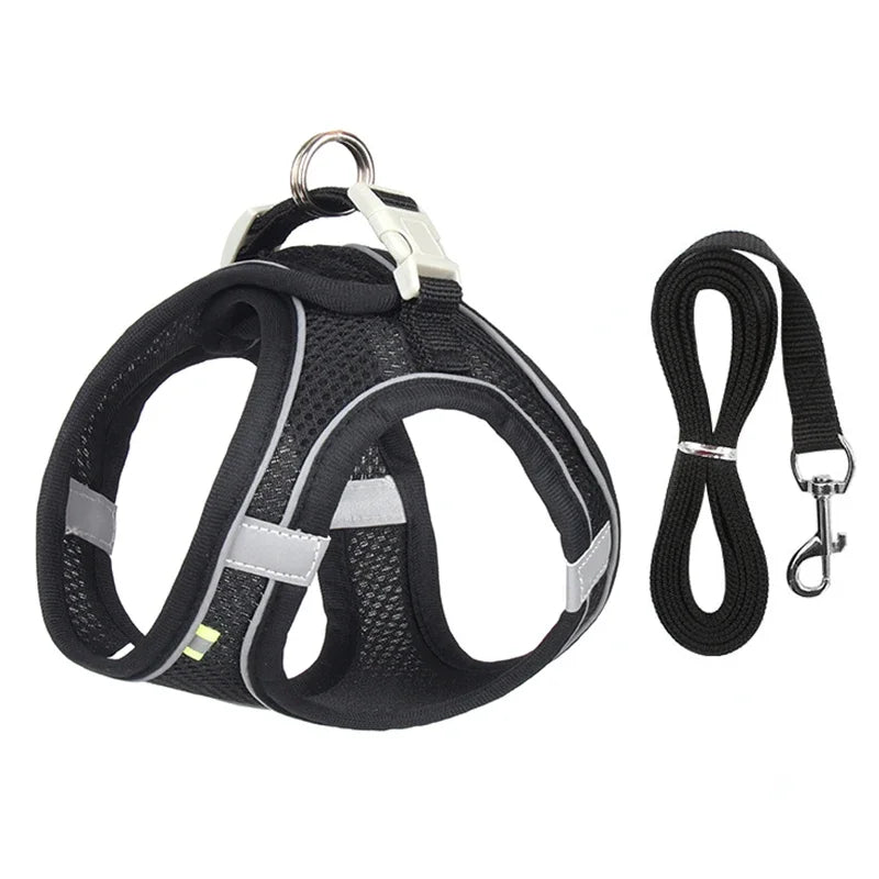 Xela Harness